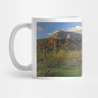 Saguaro Cacti Picacho Mountains Picacho Peak State Park Mug